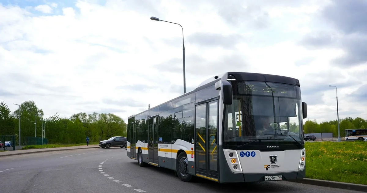 Купить права категории D — автобусы